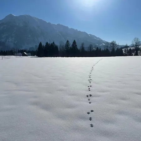 Alpenblick Casa vacanze Tauplitz
